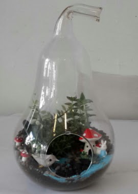 Armut orta boy cam terrarium Bah�ekap� Mah cicekciler , cicek siparisi 
