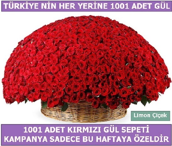 1001 Adet k�rm�z� g�l Bu haftaya �zel Bah�ekap� Mah cicekciler , cicek siparisi 