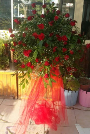 71 adet k�rm�z� g�lden ferf�rje �i�e�i Mara�al�akmak Mah sevgilime hediye �i�ek 