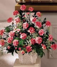 Fatih �i�ek g�nderme sitemiz g�venlidir  Minyat�r ve pembe karanfiller