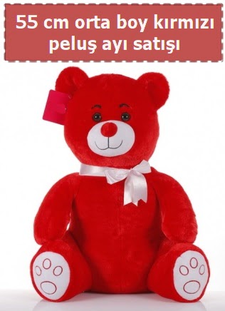 55 cm k�rm�z� orta boy oturan pelu� ay� Ertu�rulgazi Mah �i�ek g�nderme 