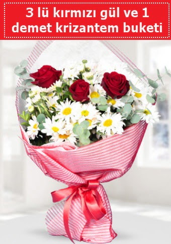 3 adet k�rm�z� g�l ve krizantem buketi Plevne Mahallesi �i�ek ma�azas� 