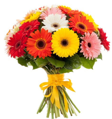 Gerbera demeti buketi Mara�al�akmak Mah sevgilime hediye �i�ek 