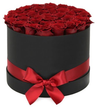 Siyah Kutuda 25 adet k�rm�z� g�l Plevne Mahallesi �i�ek ma�azas� 