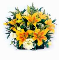 me�rutiyet �i�ek�i ma�azas�  Lilyumlardan bir sepet �zel