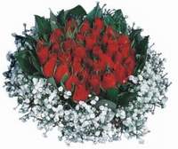 Menderes Mah �i�ek yolla , �i�ek g�nder  12 adet kirmizi �zel g�ller