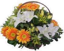 Andi�en Mahallesi �i�ek�iler  sepet modeli Gerbera kazablanka sepet