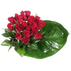 G�k�ek Mahallesi �i�ek�i telefonlar�  12 adet g�l �zel bir buket