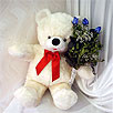 �stasyon Mah �i�ek yolla  Beyaz ayicik ve mavi g�l