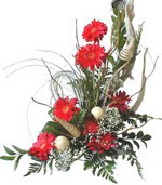 Mevlana Mahallesi �i�ek sat���  Kirmizi gerbera �zel tanzim