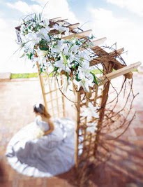 mutluluk yolu �zel tanzim
