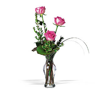 Sel�uklu Mah kaliteli taze ve ucuz �i�ekler  3 adet pembe g�ller cam yada mika vazo tanzim