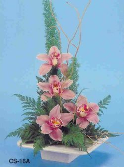 Hrriyet Mah 14 ubat sevgililer gn iek  vazoda 4 adet orkide 