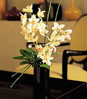 Seluklu Mah kaliteli taze ve ucuz iekler  cam yada mika vazo ierisinde dal orkide