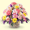 Gaziosmanpa�a Mah �i�ek g�nderme  sepet i�erisinde g�l ve mevsim