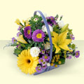 Andi�en Mahallesi �i�ek�iler  sepette kir �i�eklerinden Ertu�rulgazi Mah �i�ek g�nderme 