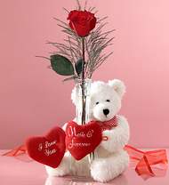  tek g�l ve oyuncak pelus Ankara Sincan cicekci 