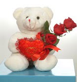 3 adetg�l ve oyuncak  Andi�en Mahallesi �i�ek�iler 