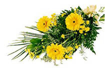 sari gerbera ve sari �i�ek  Bah�ekap� Mah cicekciler , cicek siparisi 