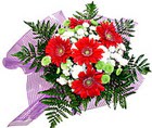 karisik gerbera ve kir �i�egi  H�rriyet Mah 14 �ubat sevgililer g�n� �i�ek 