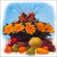 sepette gerbera ve meyvalar  Yenikent online �i�ek�i 