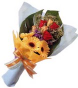 g�ller ve gerbera �i�ekleri  Plevne Mahallesi �i�ek ma�azas� 