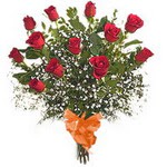 bir d�zine kirmizi g�l buketi  Plevne Mahallesi �i�ek ma�azas� 