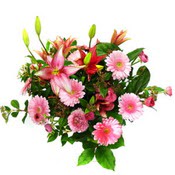 lilyum ve gerbera �i�ekleri - �i�ek se�imi - Ankara Sincan cicekci 