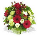 karanfil gerbera ve g�ller - d�s�nenelere �zel - Ankara Sincan cicekci 
