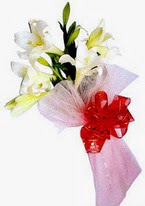 P�narba�� Mahallesi �i�ek�i adresleri  3 adet kazablanka buketi