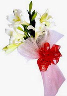 P�narba�� Mahallesi �i�ek�i adresleri  ince vazoda gerbera ve ayi
