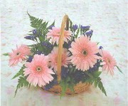 gerbera �i�eklerinde sepet  Ertu�rulgazi Mah �i�ek g�nderme 