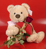 kalp oyuncak ve g�l ��geni  Ertu�rulgazi Mah �i�ek g�nderme 