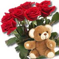 11 adet g�l ve ayicik buket  Ertu�rulgazi Mah �i�ek g�nderme 
