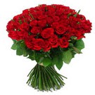 101 adet kirmizi g�l sade Ertu�rulgazi Mah �i�ek g�nderme 
