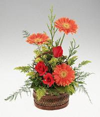 �stasyon Mah �i�ek yolla  sepet i�erisinde 3 g�l ve 3 gerbera tanzimi