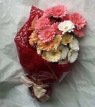 19 adet karisik gerbera buketi Fatih �i�ek g�nderme sitemiz g�venlidir 