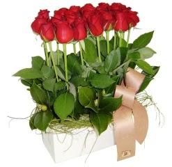 Fatih �i�ek g�nderme sitemiz g�venlidir  12 adet kirmizi g�llerden sepet tanzimi