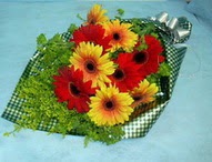 t�l i�erisinde gerbera �i�ekleri 11 adet Fatih �i�ek g�nderme sitemiz g�venlidir 