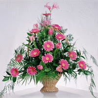gerbera �i�eklerinden sepet tanzimi me�rutiyet �i�ek�i ma�azas� 