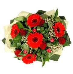 Osmanl� Mah �i�ek online �i�ek sipari�i   5 adet kirmizi g�l 5 adet gerbera demeti