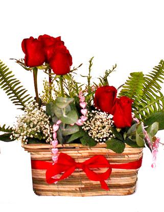 Gaziosmanpa�a Mah �i�ek g�nderme  SEVDIM DIYENLERE �rme sepet 9 adet kirmizi g�l