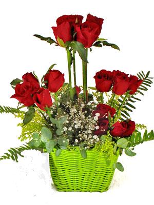 �stasyon Mah �i�ek yolla  �i�ek siparisi 9 adet kirmizi g�l
