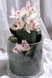 Sincan iek siparii vermek  Cam yada mika vazo ierisinde tek dal orkide