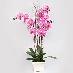 stasyon Mah iek yolla  2 adet orkide - 2 dal orkide