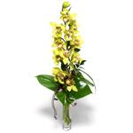 Erturulgazi Mah iek gnderme  1 dal orkide iegi - cam vazo ierisinde -