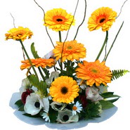 camda gerbera ve mis kokulu kir �i�ekleri H�rriyet Mah 14 �ubat sevgililer g�n� �i�ek 