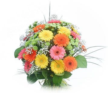 13 adet gerbera �i�egi buketi Sincan �nternetten �i�ek sipari�i 