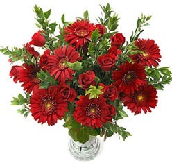 5 adet kirmizi g�l 5 adet gerbera aranjmani Malazgirt Mah anneler g�n� �i�ek yolla 