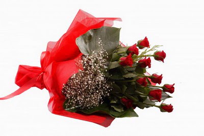 Atat�rk Mah yurti�i �i�ek sipari�i  11 adet kirmizi g�l buketi �i�ek�i